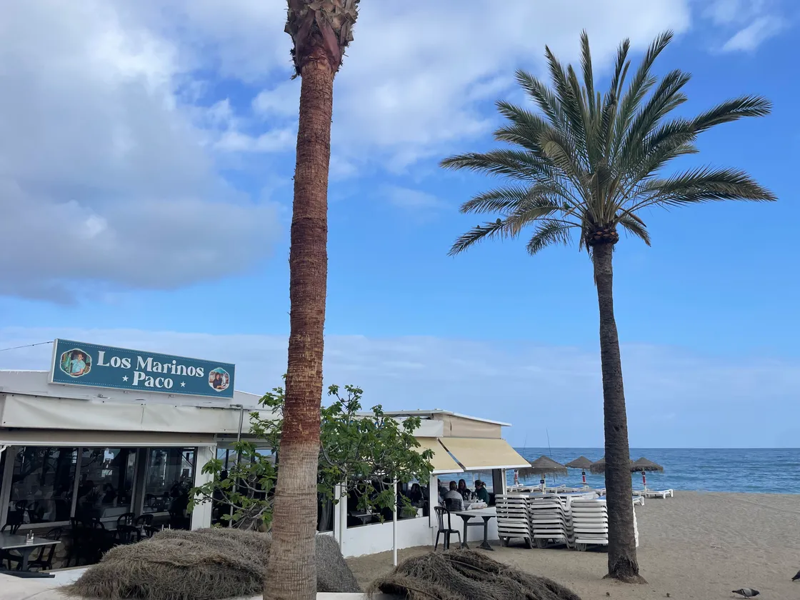 Zwischen Laptop und Lebensgefühl image 5